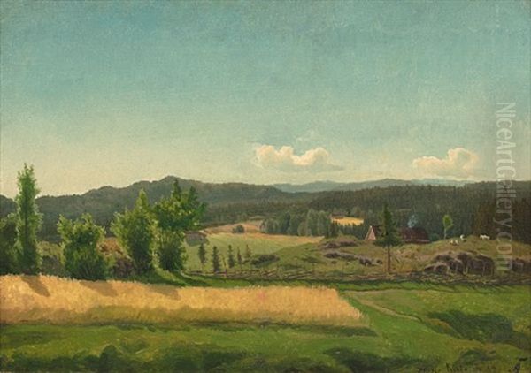 Vid Udsigt Fra Kiste - view 1