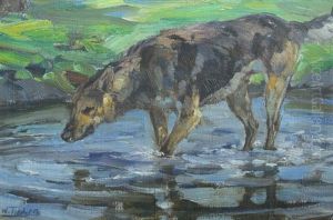 Portrait Eines Schaferhundes Im Wasser Portrait Eines Schaferhundes Im Wasser