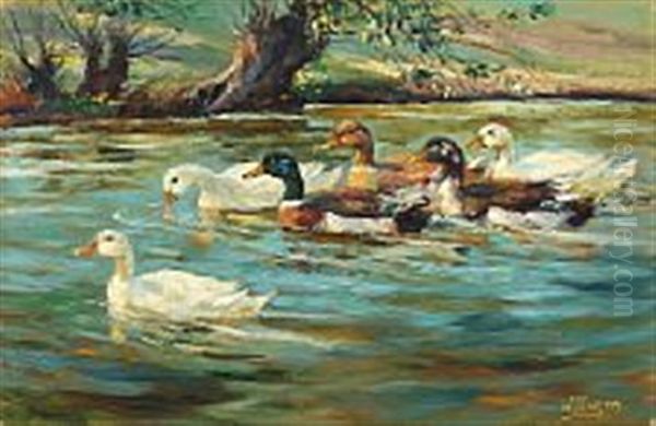 Ducks In A Lake - view 1