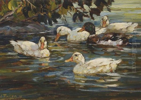 Enten Auf Dem Wasser - view 1