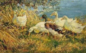 Funf Enten Am Ufer by Willy Tiedjen