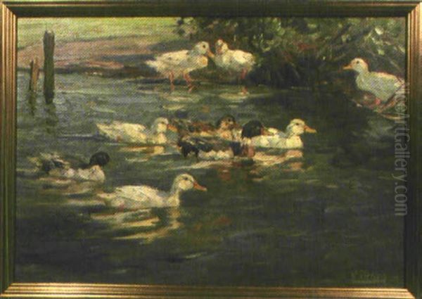 Enten Auf Einem Teich - view 1