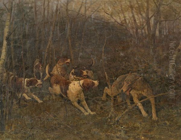 Dogs And Wolf - view 1