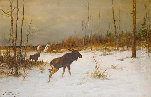 Moose In A Snowy Clearing - view 1