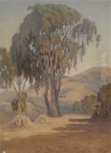 A Eucalyptus Tree With Sunlit Hills Beyond by George Smith Tilden