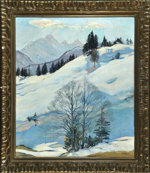 Schneebedeckte Berglandschaft - view 1