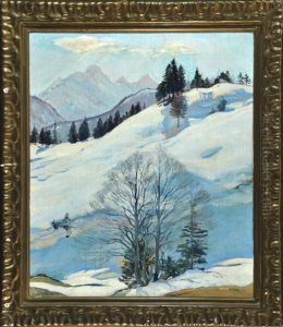 Schneebedeckte Berglandschaft