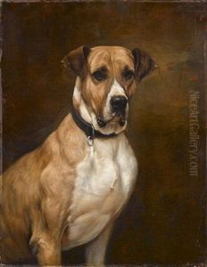 Portrait Of A Great Dane