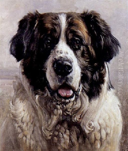 St. Bernhardshund - view 1