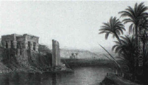 Along The Nile River - view 1