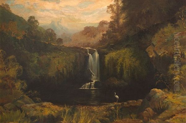 Waterfall And Stork - view 1