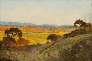 Extensive Landscape At Dusk