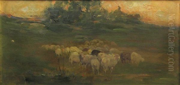 The Flock Of Sheep - view 1