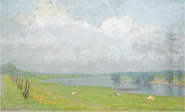 A View Of The River Ijssel - view 1