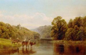 Tortworth Lake, Gloucestershire by William Vivian Tippet