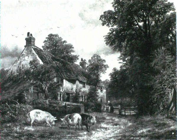 Pigs Before A Country Cottage - view 1