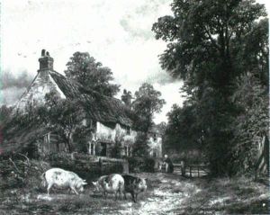 Pigs Before A Country Cottage