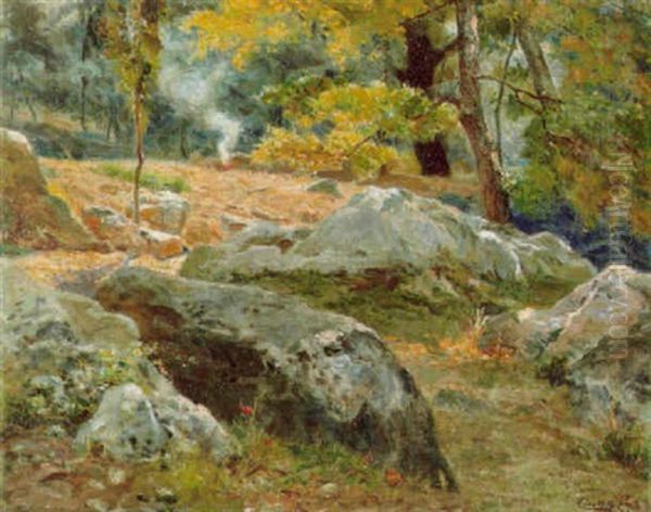 Nel Bosco - view 1