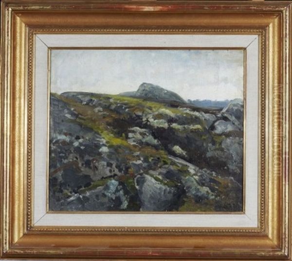 Bergslandskap - view 1