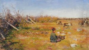 Rentiere Und Hirte Auf Der Weide