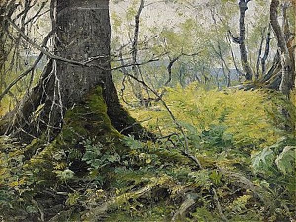 Fjallvegetation - view 1