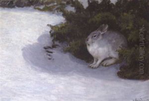 Snehare I Skjul by Nils Tiren
