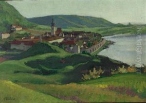 Blick Auf Hainburg A. D. Donau