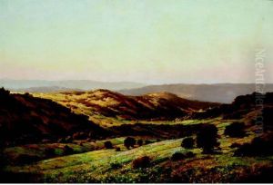 Landscape Landscape