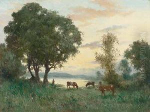 Abendstimmung Uberweidenden Kuhen Am Ufer