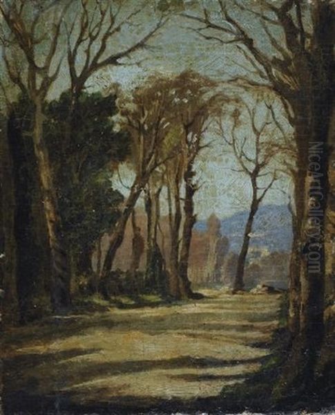 Firenze, Viale Delle Cascine - view 1