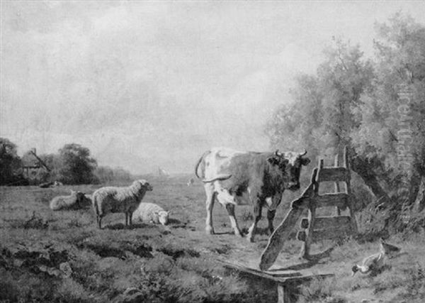 Livestock In A Field - view 1