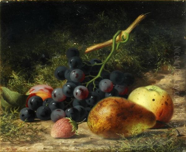Still Life Of Fruits And Moss - view 1