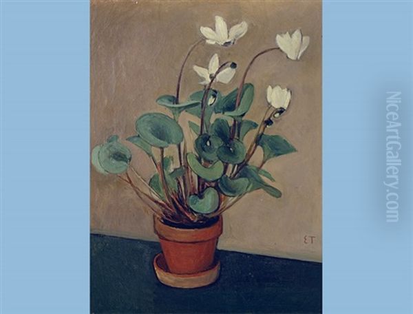 Cyclamen - view 1