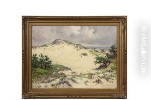 Provincetown Dunes Provincetown Dunes