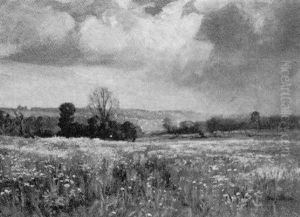 Field Of Flowers Field Of Flowers