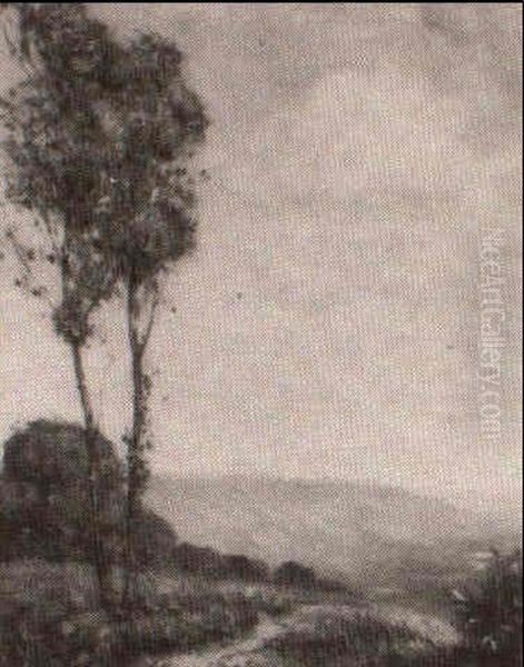 Summer Landscape - view 1