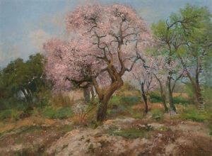 Almendros En Flor