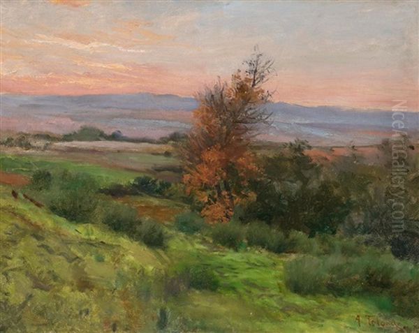 Paisaje - view 1