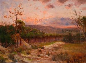 Paisaje by Aurelio Tolosa Alsina