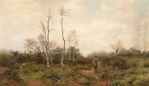 Paisaje - view 1