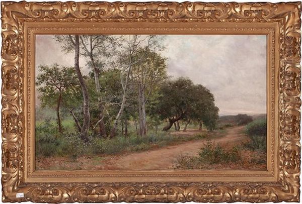 Paisaje - view 1