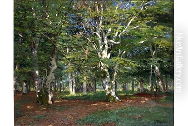 Bosque Soleado - view 1