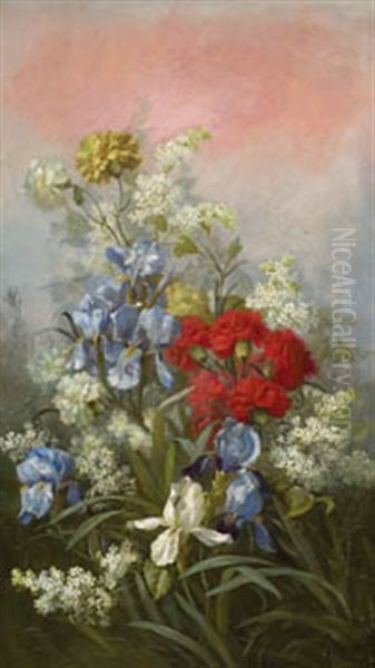 Flores - view 1