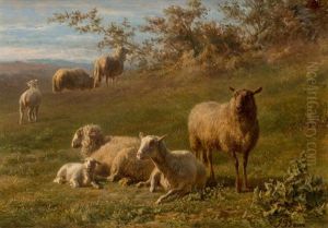 Sheep Resting In A Landscape Sheep Resting In A Landscape