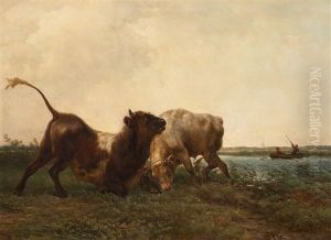 Fighting Bulls