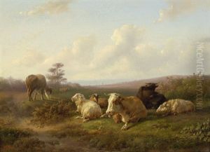Schafe Und Rinder Auf Einer Weide Schafe Und Rinder Auf Einer Weide