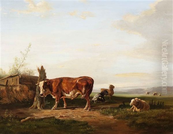 Cattle Resting In A Wide Landscape - view 1