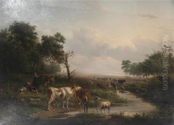 Cattle And Sheep Watering In An Extensive Landscape - view 1