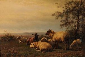 Weidende Schafe Und Ziegenbock Weidende Schafe Und Ziegenbock