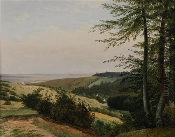 Blick Auf Wien Vom Kahlenberg - view 1